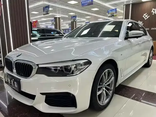 BMW 5 Series 2022 из CN, фото 1