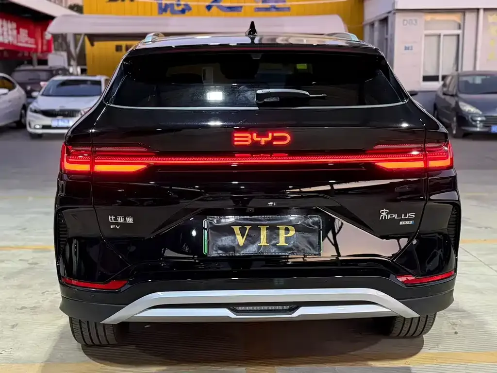 BYD PLUS New Energy — фото 4