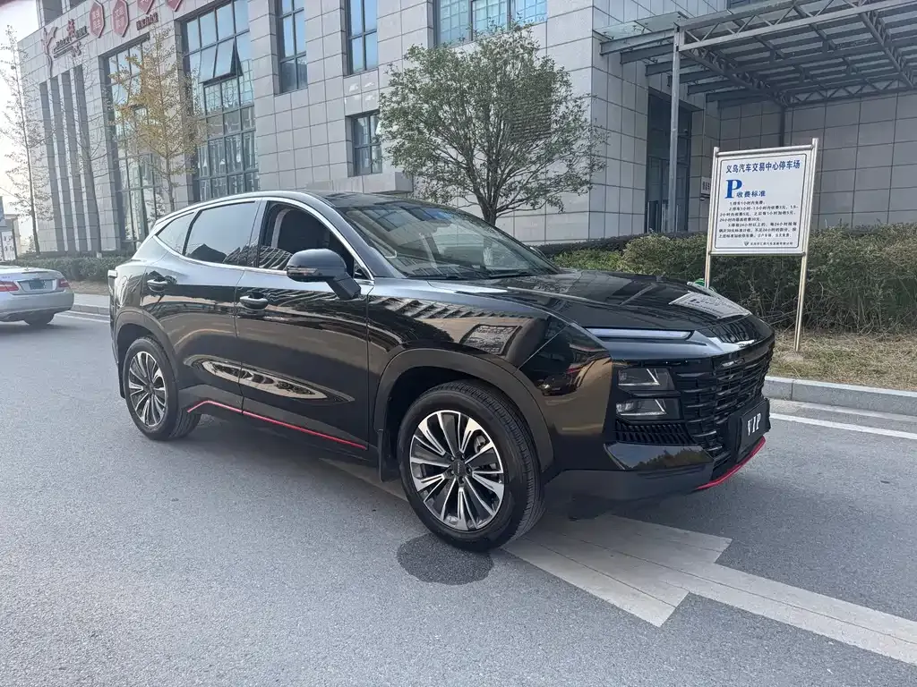 Jetour Dasheng 2023 из CN, фото 3