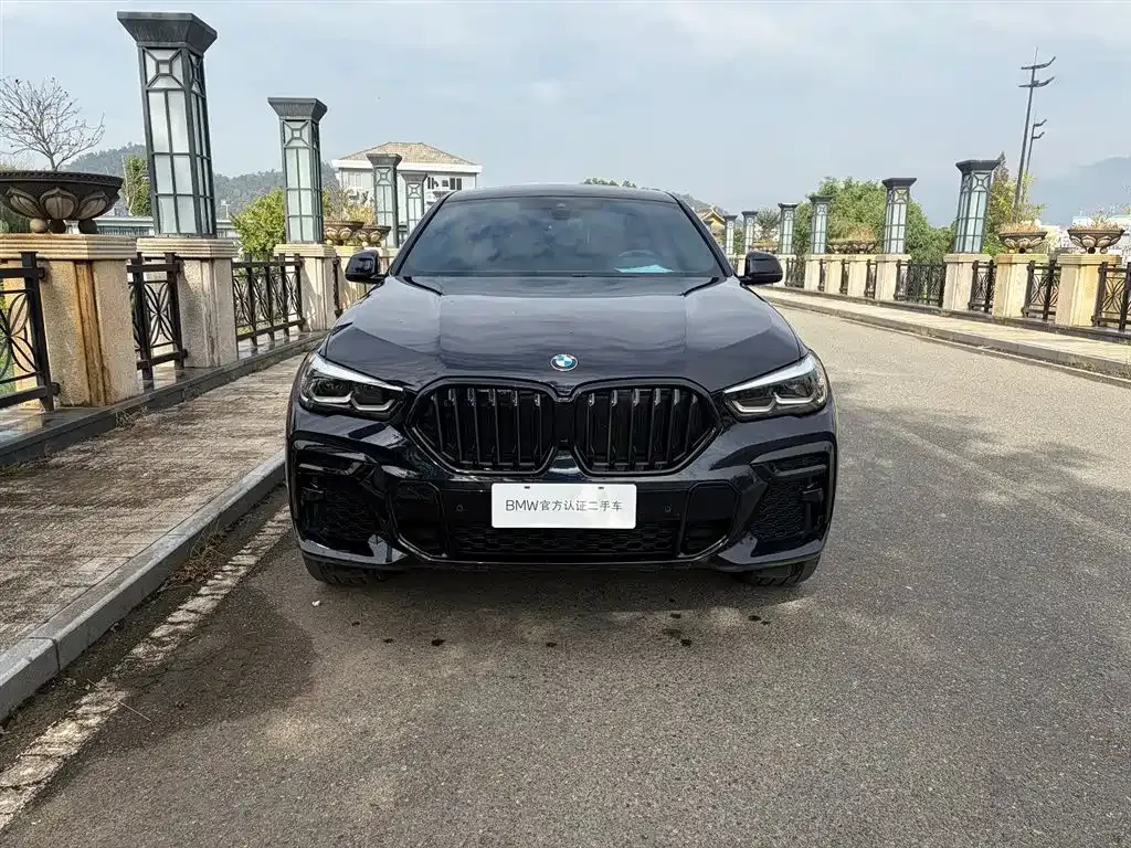 BMW X6 2023 из CN, фото 2