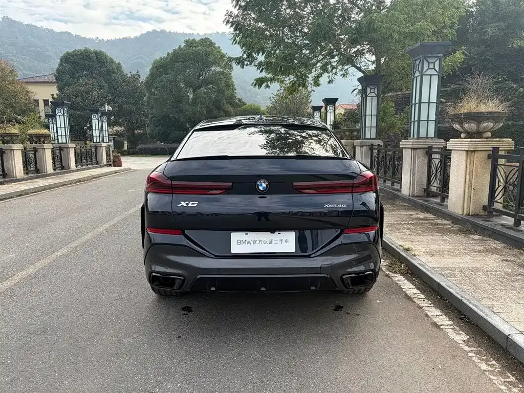 BMW X6 2023 из CN, фото 5