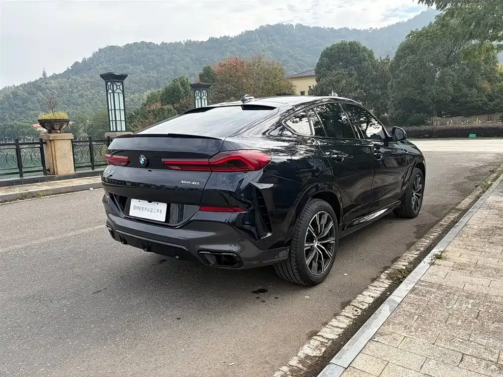 BMW X6 2023 из CN, фото 6