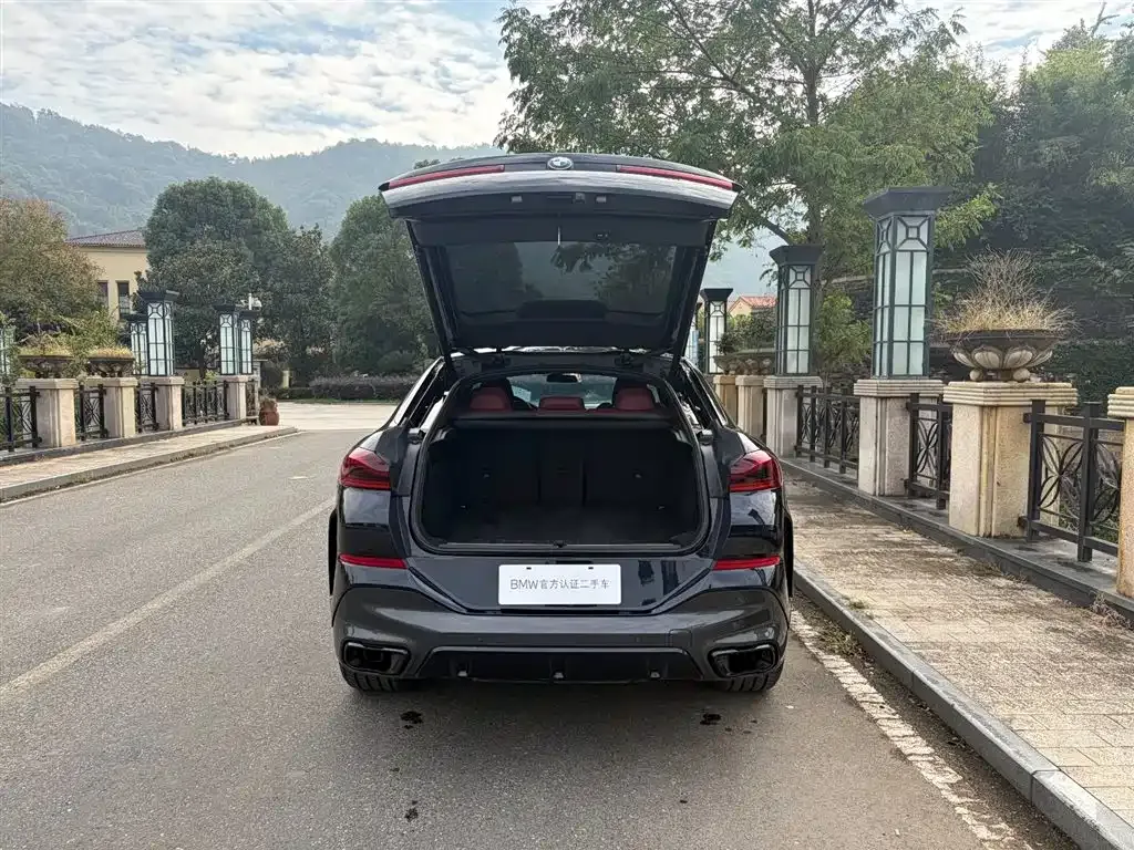 BMW X6 2023 из CN, фото 7