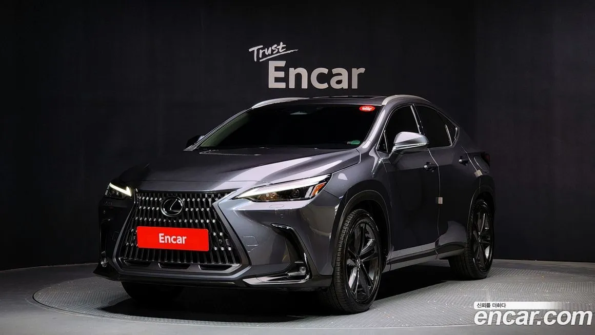 Lexus NX 2025 из KR, фото 1