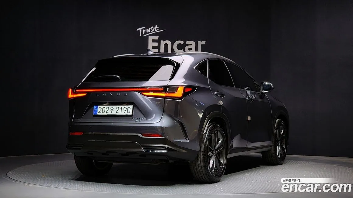 Lexus NX 2025 из KR, фото 2