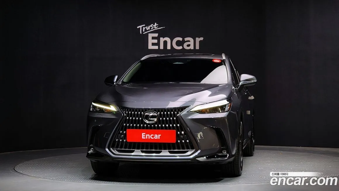 Lexus NX 2025 из KR, фото 3