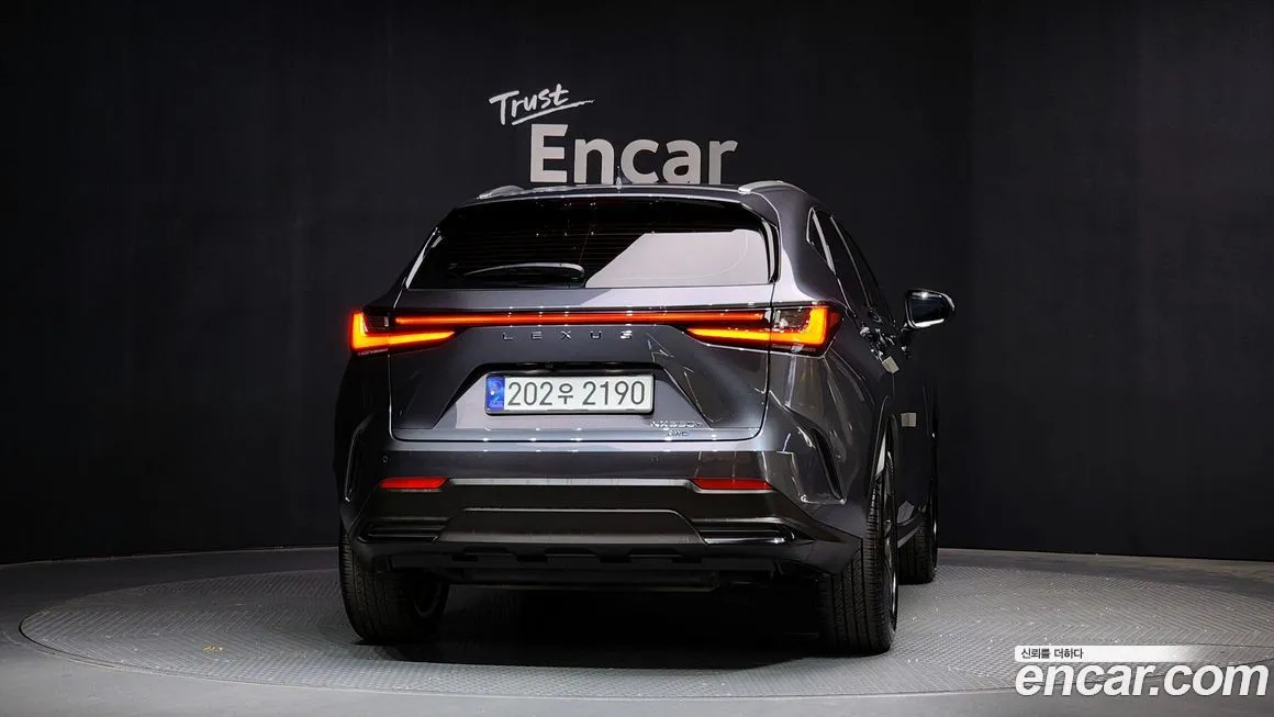Lexus NX 2025 из KR, фото 4