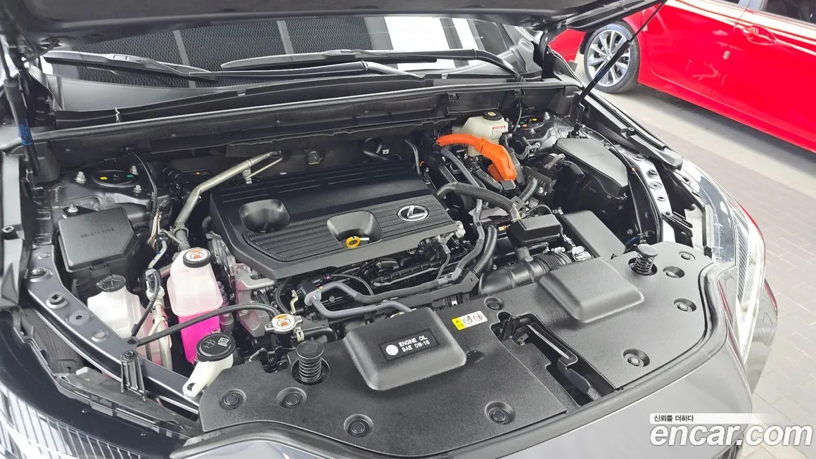 Lexus NX 2025 из KR, фото 6