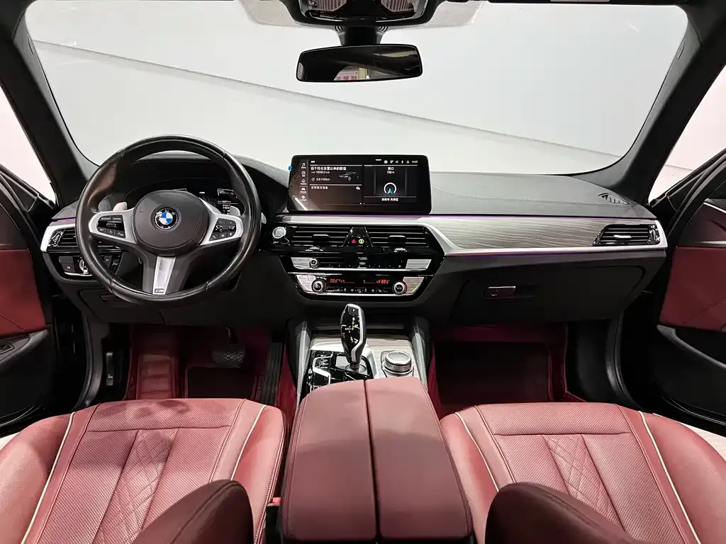 BMW 5 Series 2022 из CN, фото 10