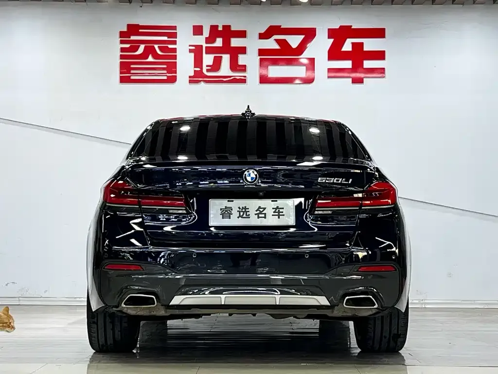 BMW 5 Series 2022 из CN, фото 5