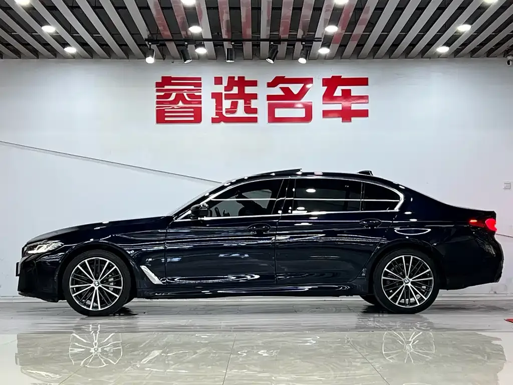 BMW 5 Series 2022 из CN, фото 6