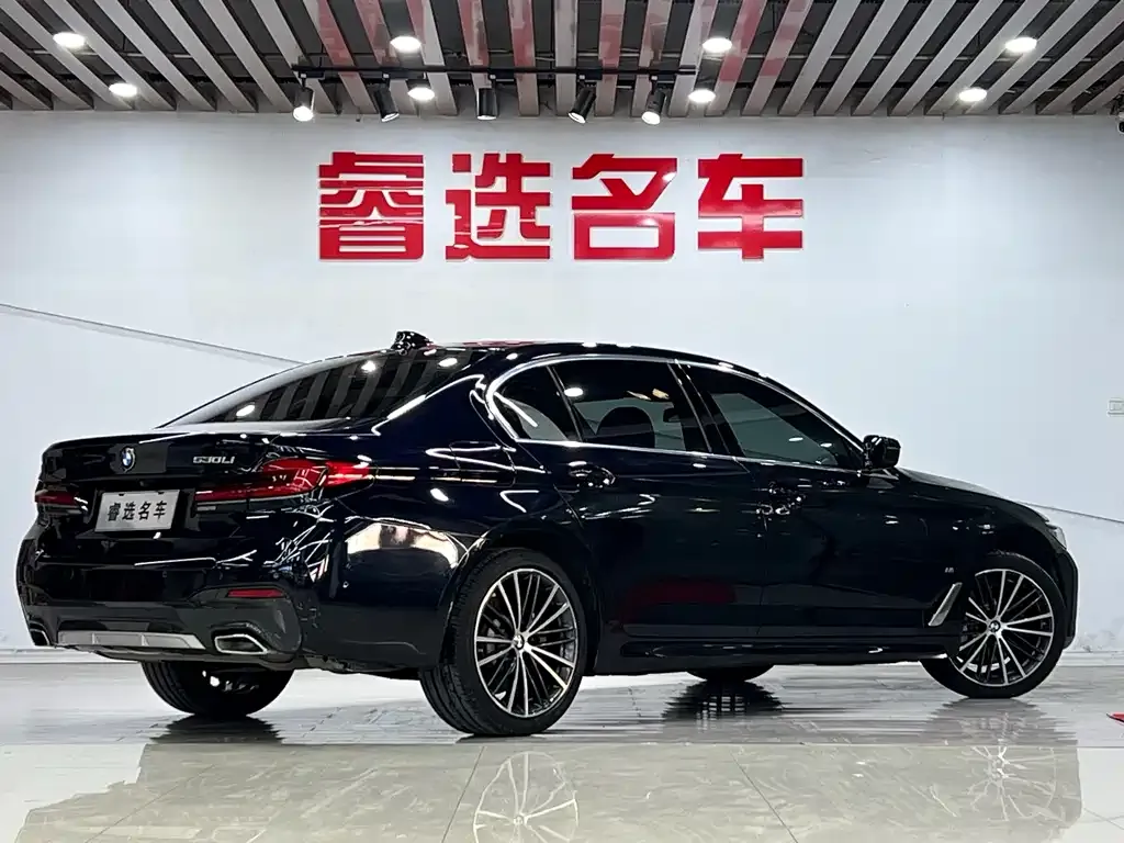 BMW 5 Series 2022 из CN, фото 7