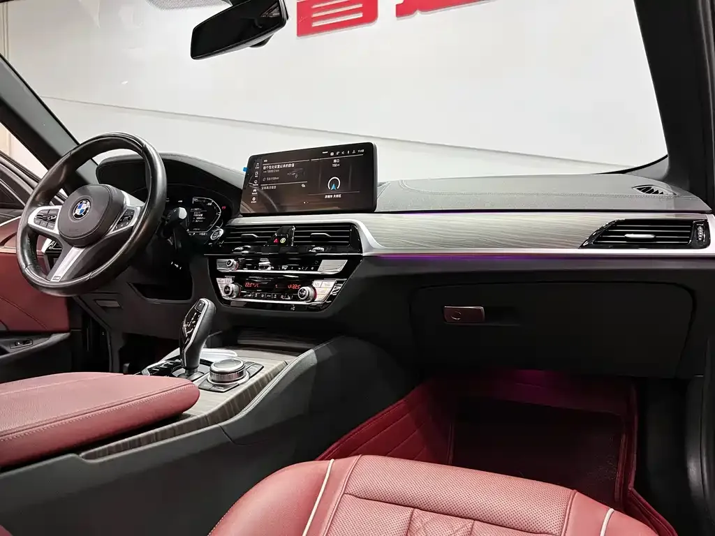 BMW 5 Series 2022 из CN, фото 9