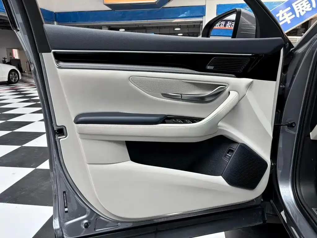 BYD PLUS New Energy — фото 10