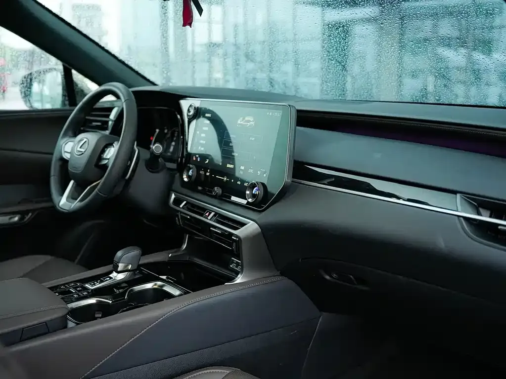 Lexus RX New Energy — фото 10