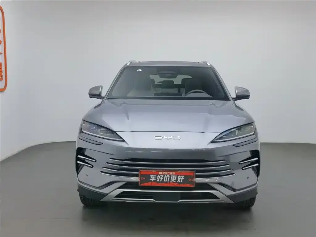 BYD PLUS New Energy — фото 3