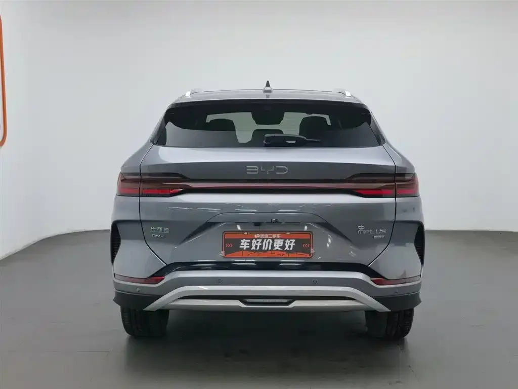 BYD PLUS New Energy — фото 4