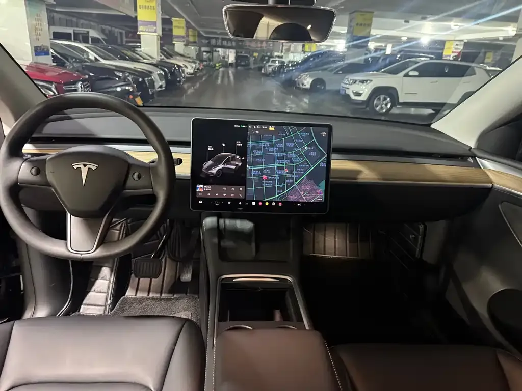 Tesla Model Y 2021 из CN, фото 5