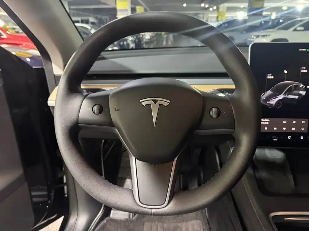 Tesla Model Y 2021 из CN, фото 6