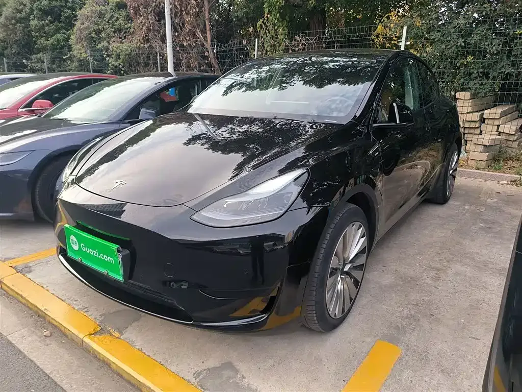 Tesla Model Y — фото 2