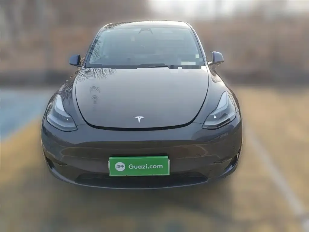 Tesla Model Y — фото 3