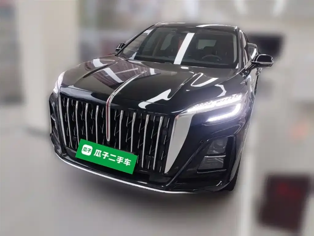 Hongqi HS3 2024 из CN, фото 3
