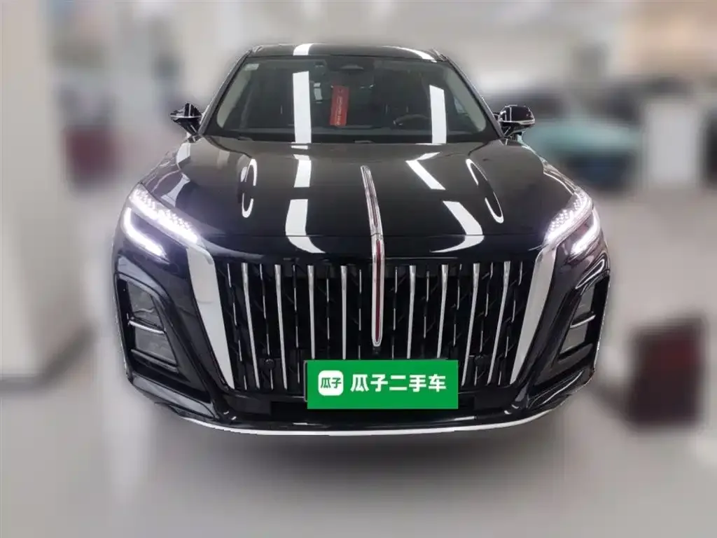 Hongqi HS3 2024 из CN, фото 5