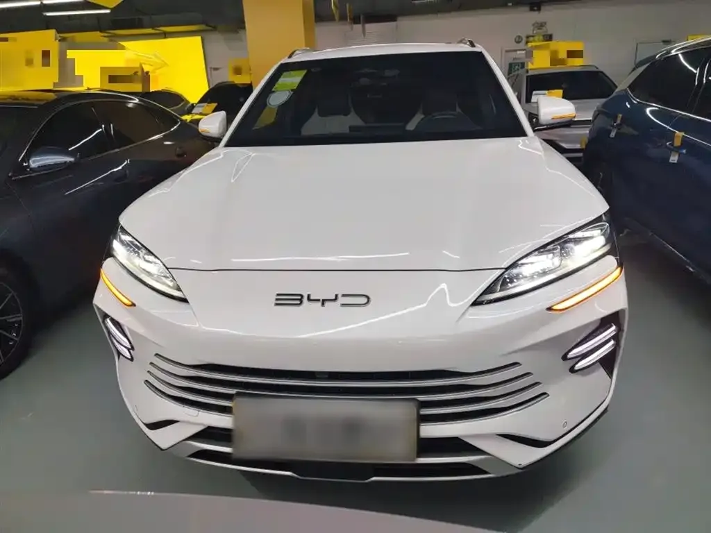 BYD PLUS New Energy — фото 3