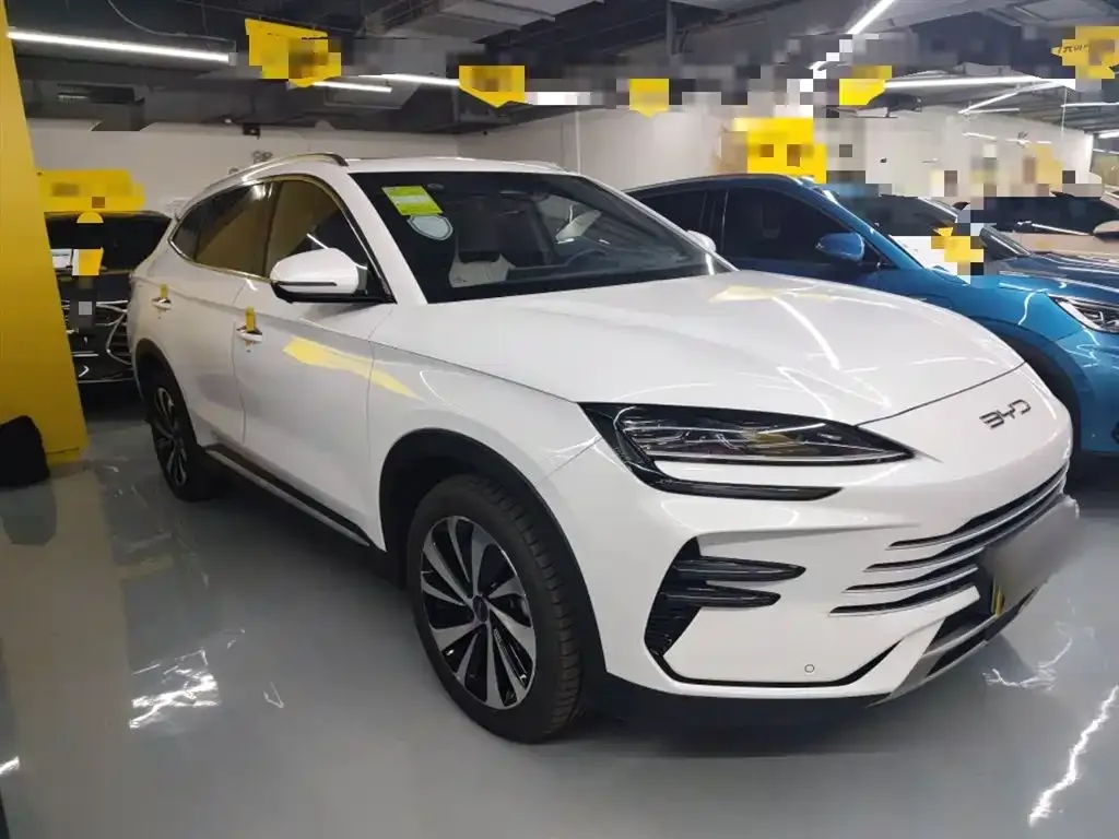 BYD PLUS New Energy — фото 4
