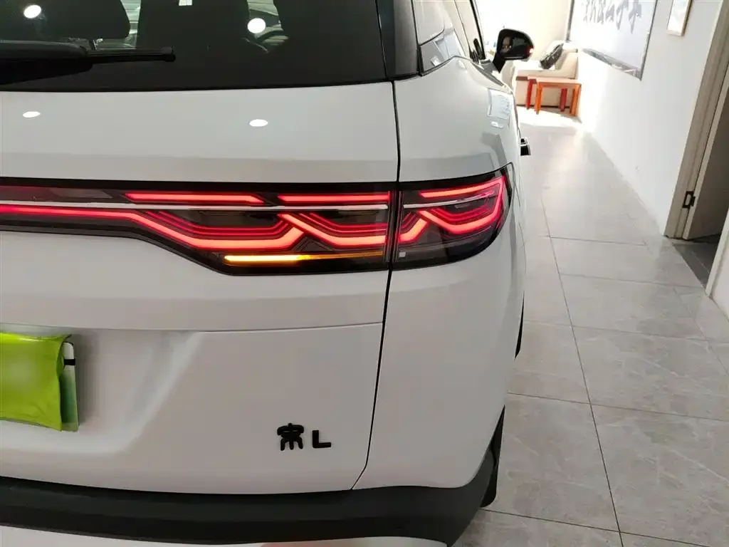 BYD L DM-i 2024 из CN, фото 8