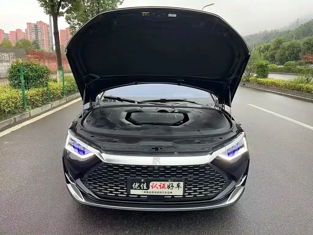 BYD Han 2021 из CN, фото 8