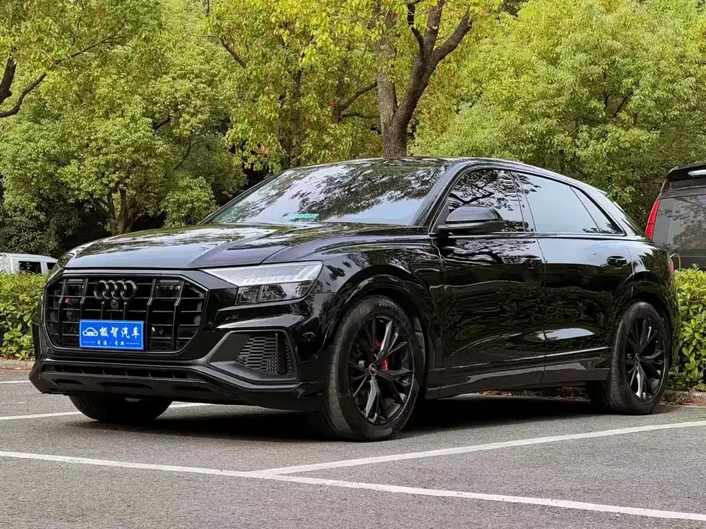 Audi Q8 2024 из CN, фото 1
