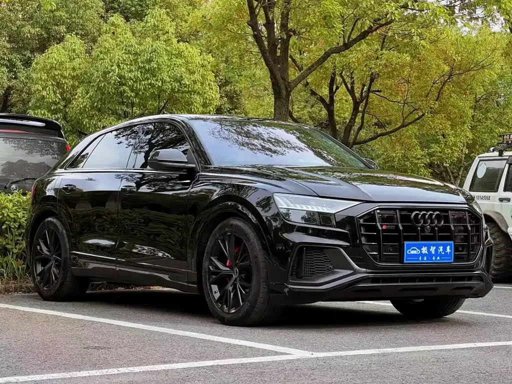 Audi Q8 2024 из CN, фото 3