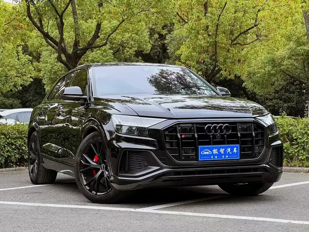 Audi Q8 2024 из CN, фото 9
