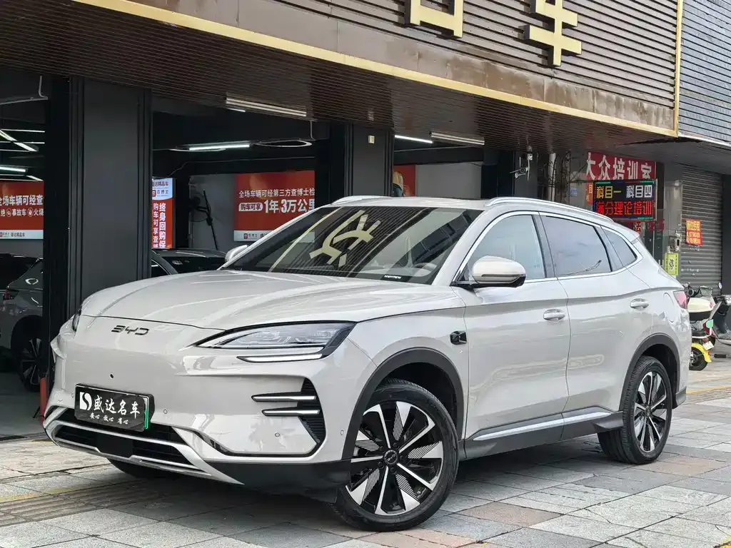 BYD PLUS New Energy — фото 1
