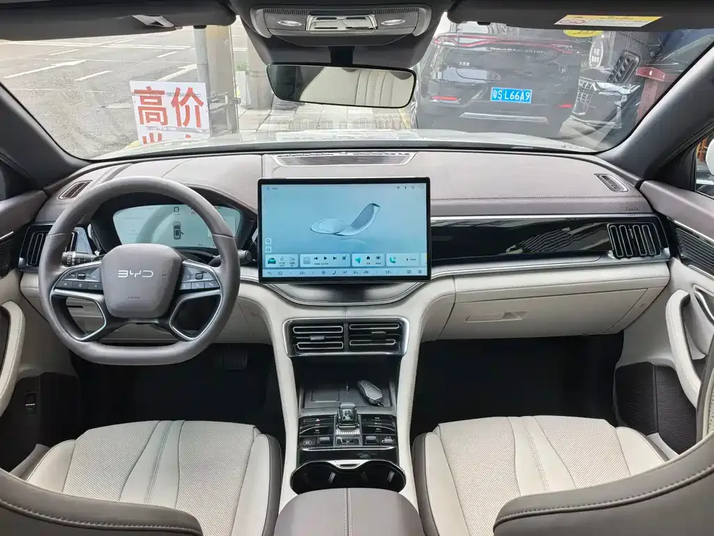 BYD PLUS New Energy — фото 10
