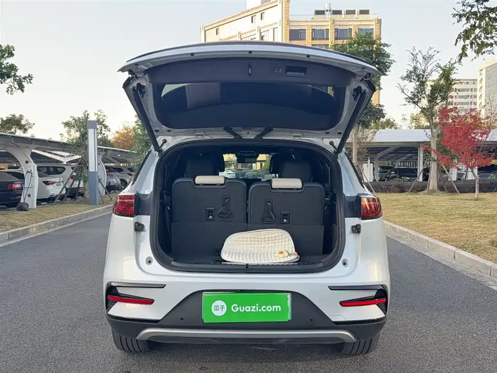 BYD Tang New Energy 2023 из CN, фото 10