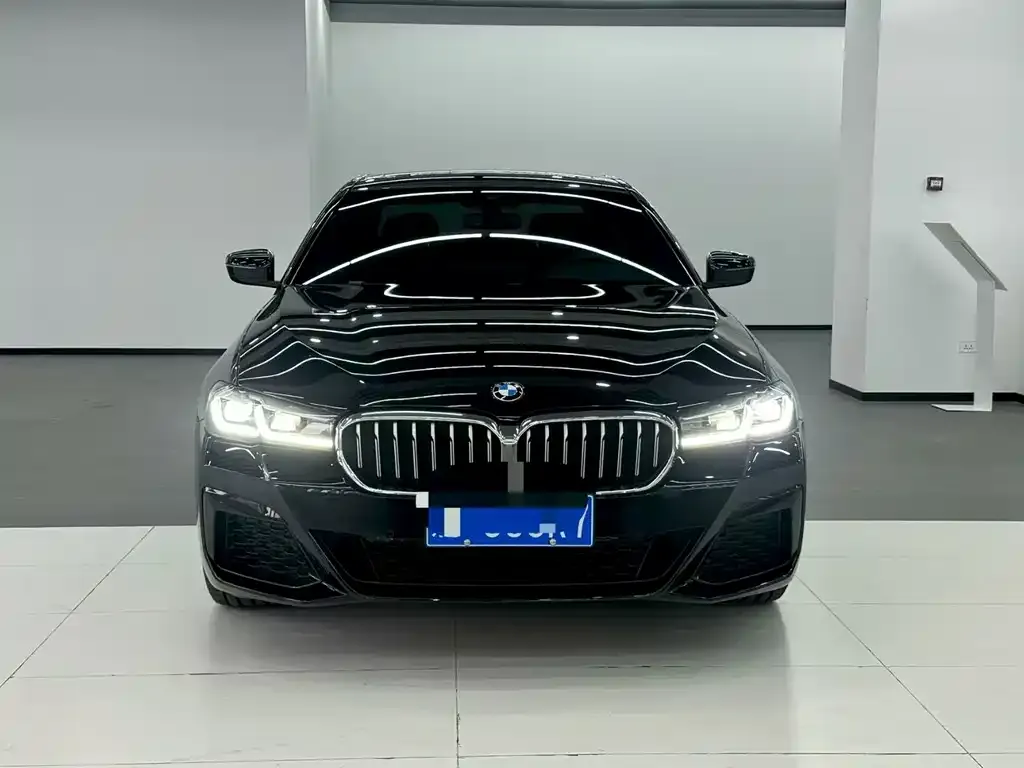 BMW 5 Series 2021 из CN, фото 1