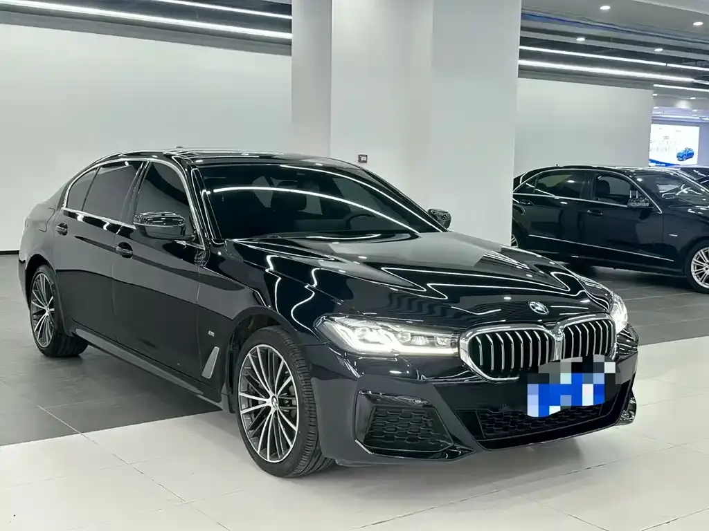 BMW 5 Series 2021 из CN, фото 2