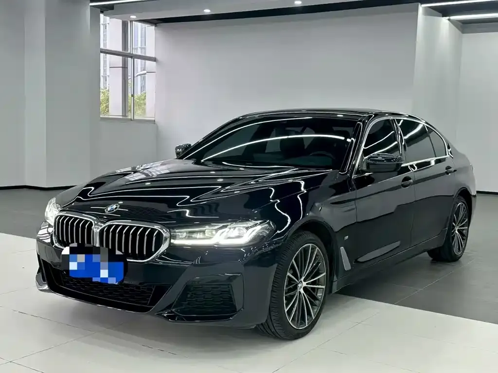 BMW 5 Series 2021 из CN, фото 3