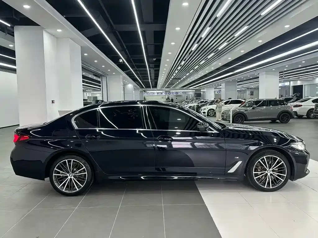 BMW 5 Series 2021 из CN, фото 4