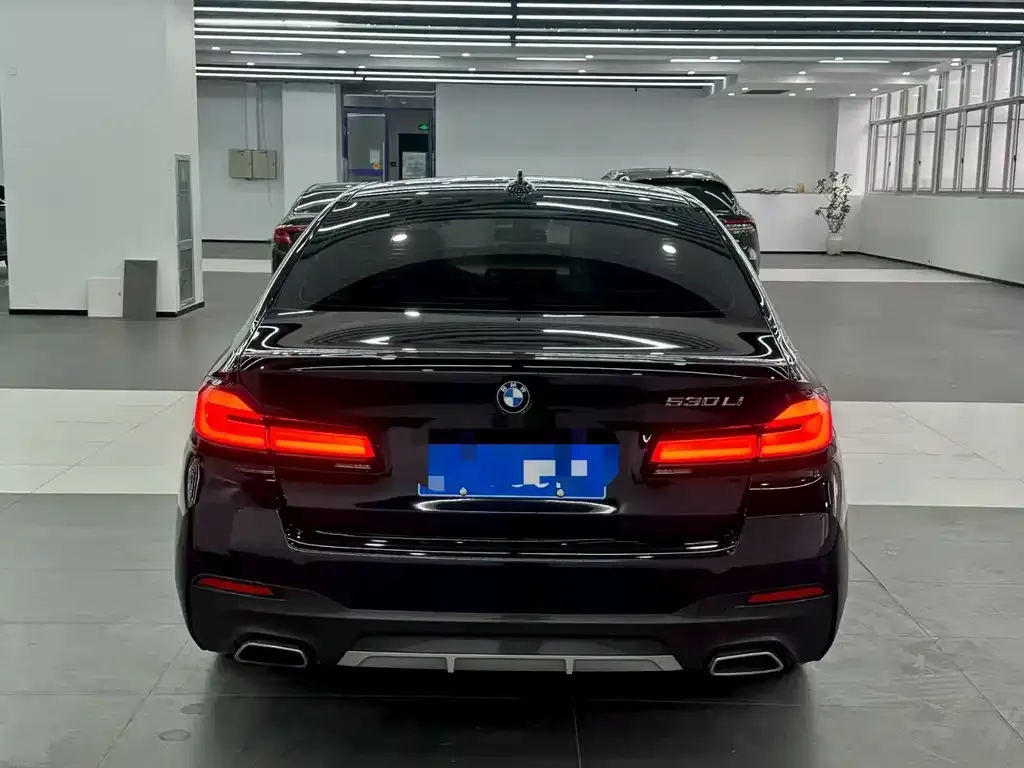 BMW 5 Series 2021 из CN, фото 5