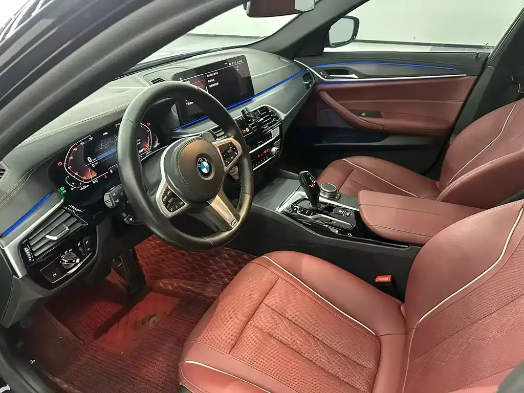 BMW 5 Series 2021 из CN, фото 6