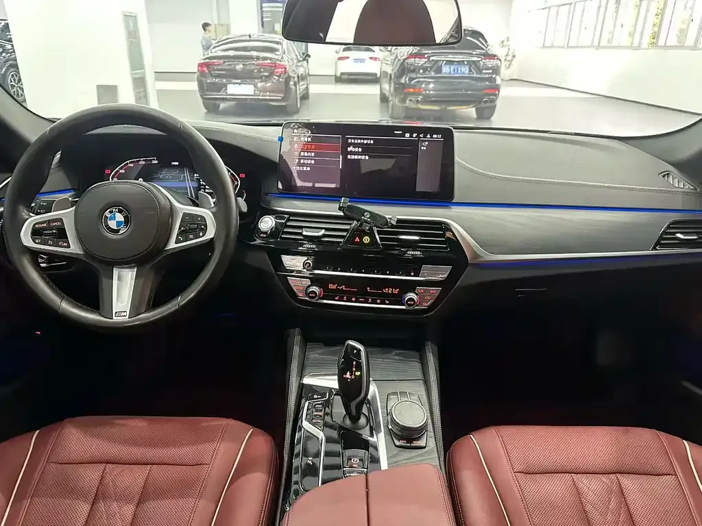BMW 5 Series 2021 из CN, фото 8