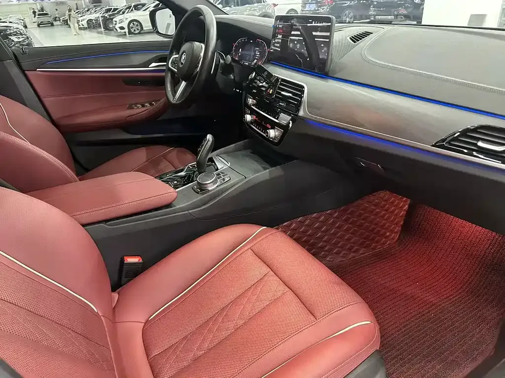 BMW 5 Series 2021 из CN, фото 9