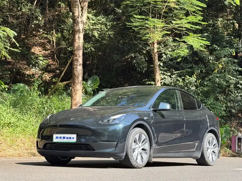 Tesla Model Y 2023 из CN, фото 1