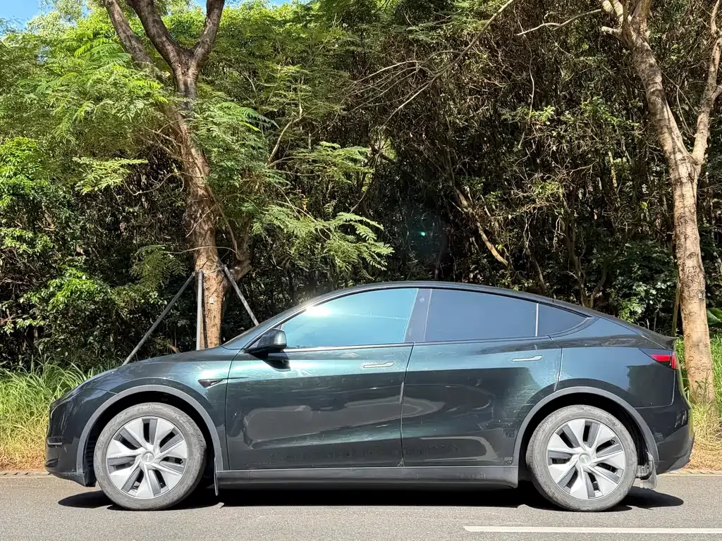 Tesla Model Y 2023 из CN, фото 2