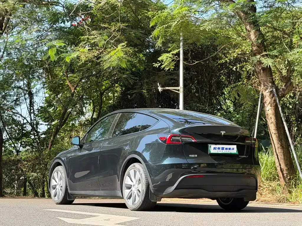 Tesla Model Y 2023 из CN, фото 3