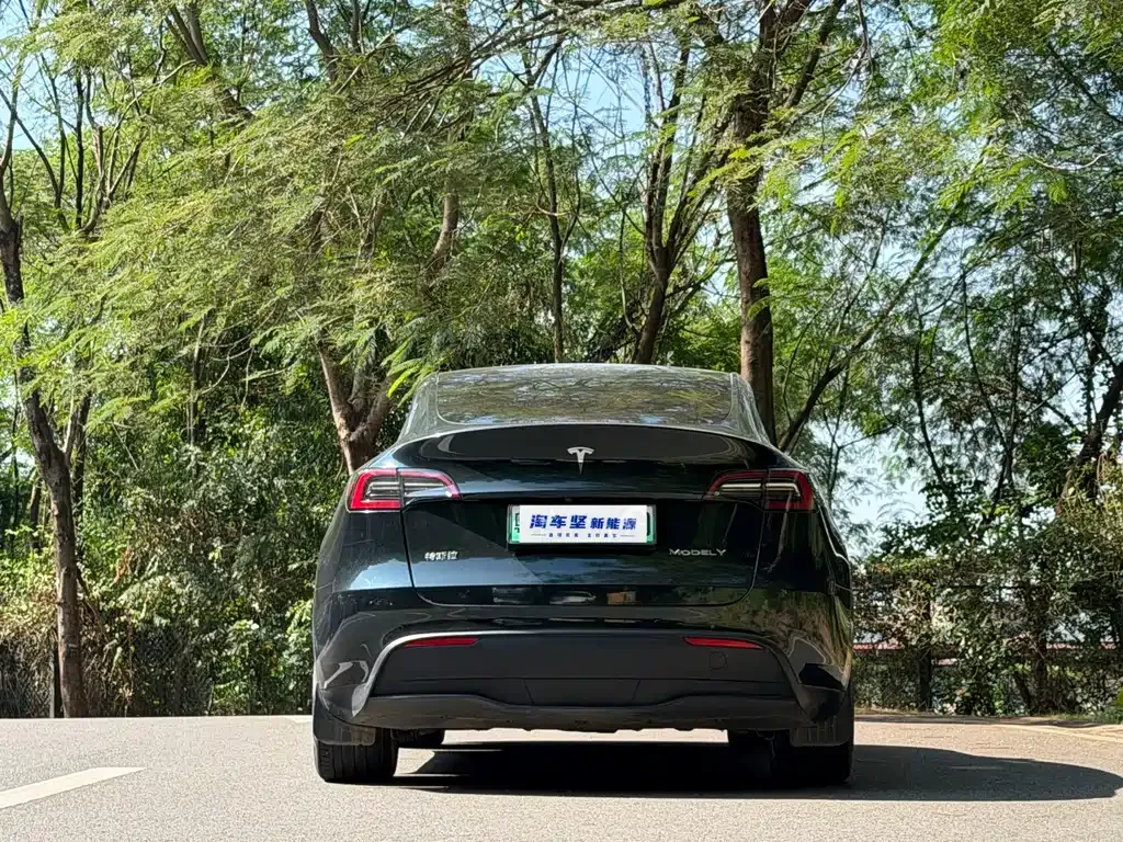 Tesla Model Y 2023 из CN, фото 5