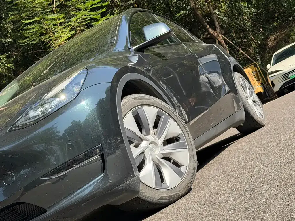 Tesla Model Y 2023 из CN, фото 6